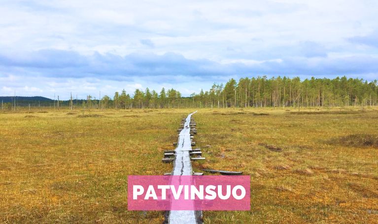 Venlojen vaellus Patvinsuo